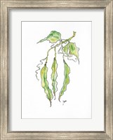 Framed Peas