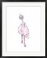 Framed Ostrich
