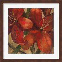 Framed Vivid Red Lily on Gold Crop