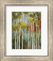 Framed Young Forest II