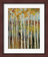 Framed Young Forest I