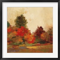 Fall Forest III Framed Print