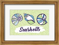 Framed Seashells