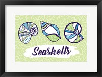 Framed Seashells