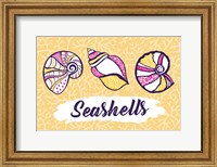 Framed Seashells