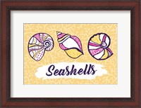 Framed Seashells