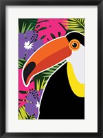 Framed Tropical Toucan