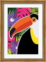 Framed Tropical Toucan