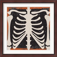 Framed Skeleton