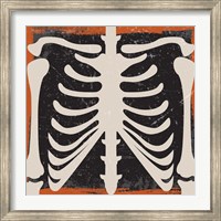 Framed Skeleton