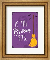 Framed Broom Fits