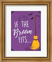 Framed Broom Fits