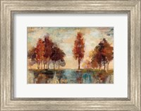 Framed Field and Forest