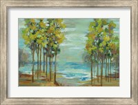 Framed Spring Trees