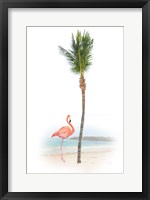 Framed Flamingo in Paradise