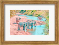 Framed Waterhole Rendezvous II