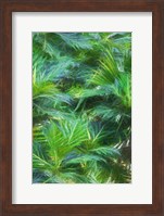 Framed Tropical Leaves I