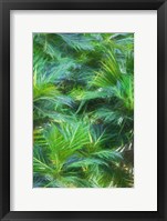 Tropical Leaves I Framed Print
