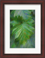 Framed Tropical Leaves II