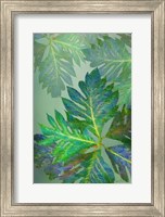 Framed Tropical Leaves III