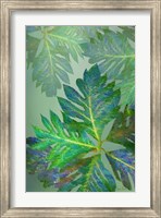 Framed Tropical Leaves III