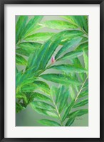 Framed Tropical Leaves IV