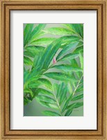 Framed Tropical Leaves IV