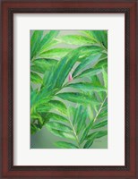 Framed Tropical Leaves IV