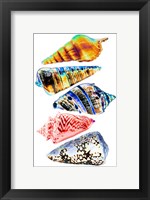 Framed Seashell Collection II