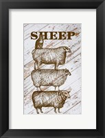Framed Sheep