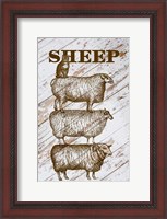 Framed Sheep