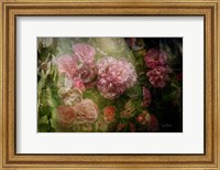 Framed Evening Light on Roses I