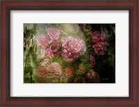 Framed Evening Light on Roses I