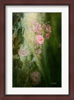 Framed Evening Light on Roses II
