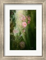 Framed Evening Light on Roses II
