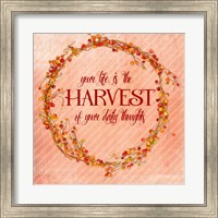 Framed Your Life is the Harvest
