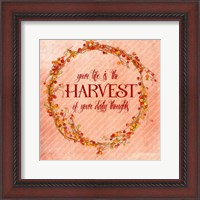 Framed Your Life is the Harvest