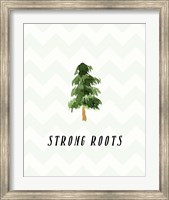 Framed Strong Roots