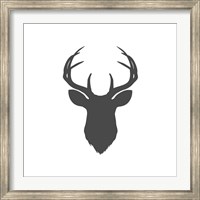 Framed Charcoal Deer Head