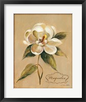 Framed December Magnolia Vintage