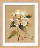 Framed December Magnolia Vintage