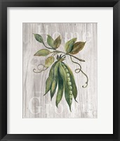 Market Vegetables II on Wood Framed Print