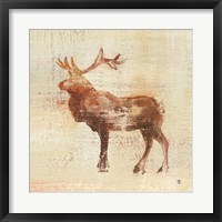 Framed Elk Study