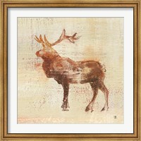Framed Elk Study