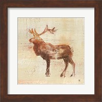 Framed Elk Study