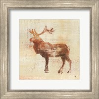 Framed Elk Study