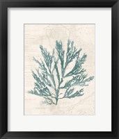 Pacific Sea Mosses I Borderless Framed Print