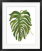 Framed Tropical Palm II