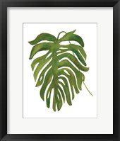 Framed Tropical Palm II