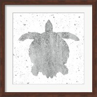 Framed Silver Sea Life Turtle